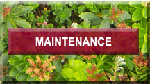 Maintenance