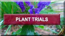 Plant Trials